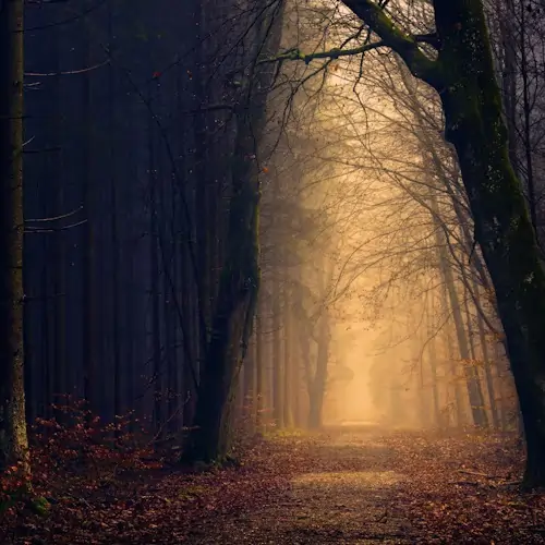 Mystical Forest Guardian